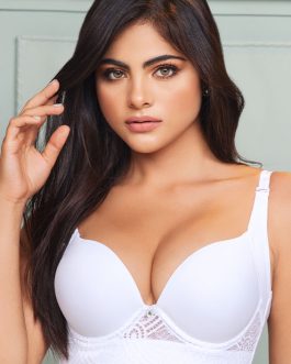 BRASIER REALCE 952B